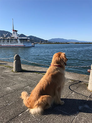 番犬メリーさん写真